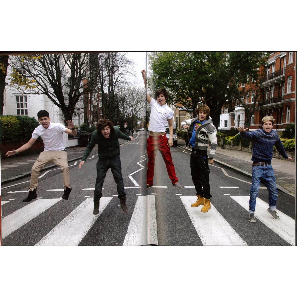 ワンダイレクション　コレクション ONE DIRECTION Panini 2013 Complete STICKER CARD SET of 15
