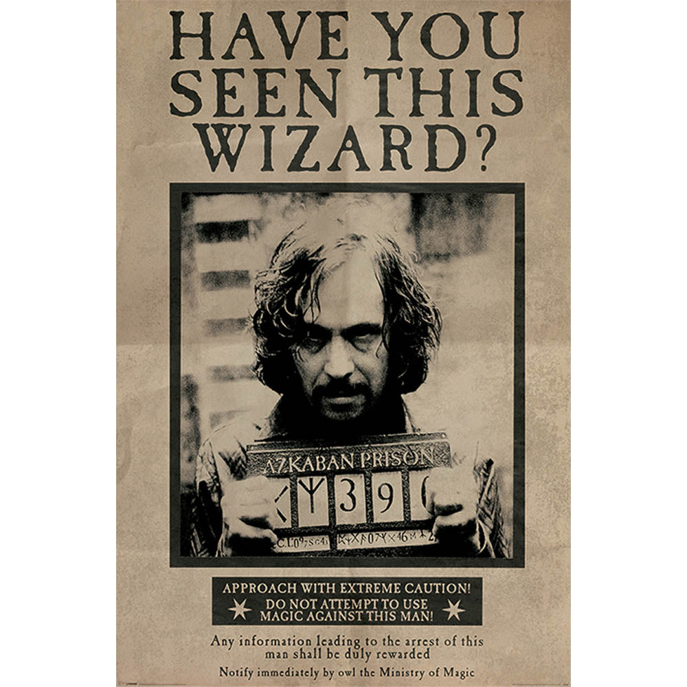 HARRY POTTER ハリーポッター (2027年 ドラマ放送決定