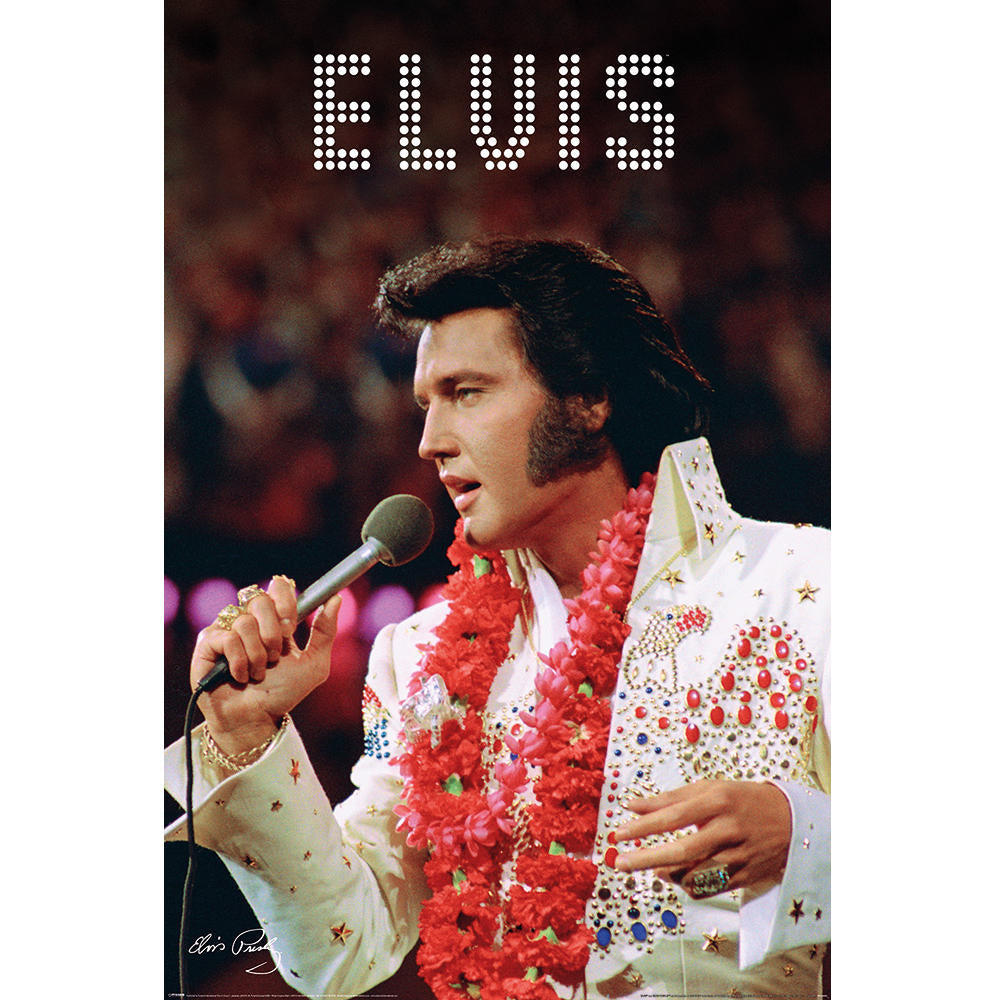 ELVIS PRESLEY エルヴィスプレスリー (11月 ドキュメンタリー 配信 ) - Vegas / 世界限定2000枚 / ポスター 【公式  / オフィシャル】 – PGS wholesale