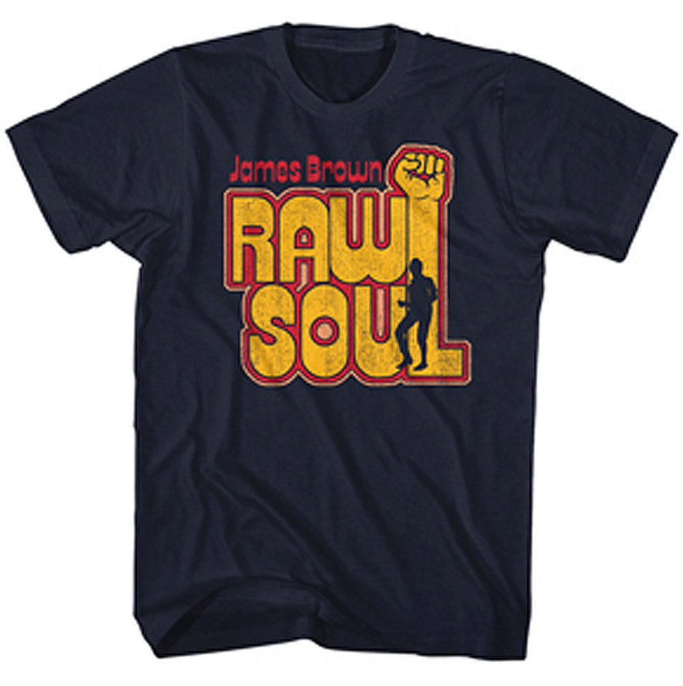 JAMES BROWN ジェームスブラウン (追悼 20年 ) - Raw Soul / Tシャツ