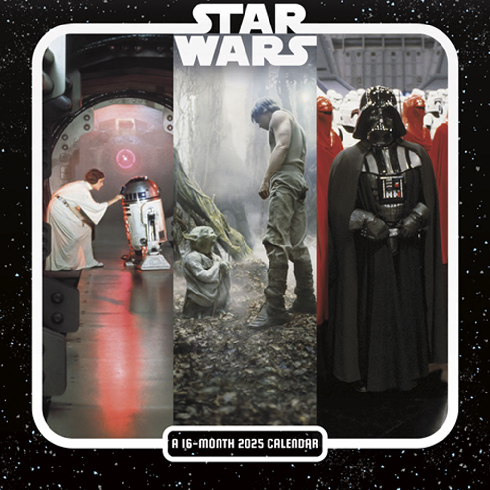 廃番ラスト販売/特別価格】STAR WARS スターウォーズ - Saga