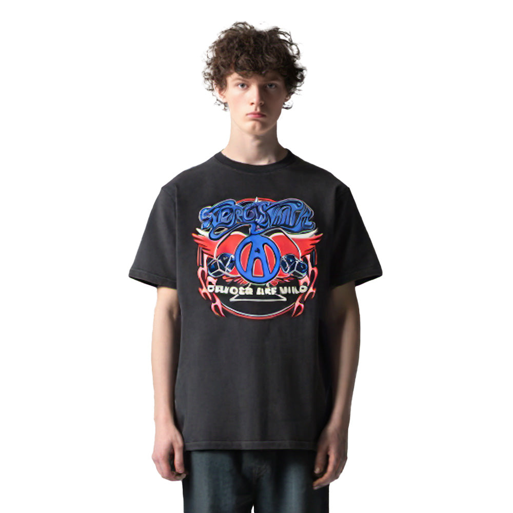 AEROSMITHエアロスミス Tシャツ 90's AEROSMITH 