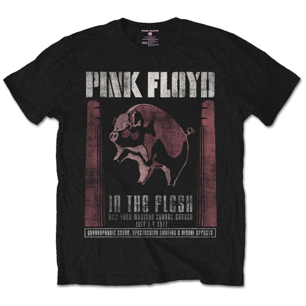 PINK FLOYD - (結成 60周年 ) - IN THE FLESH