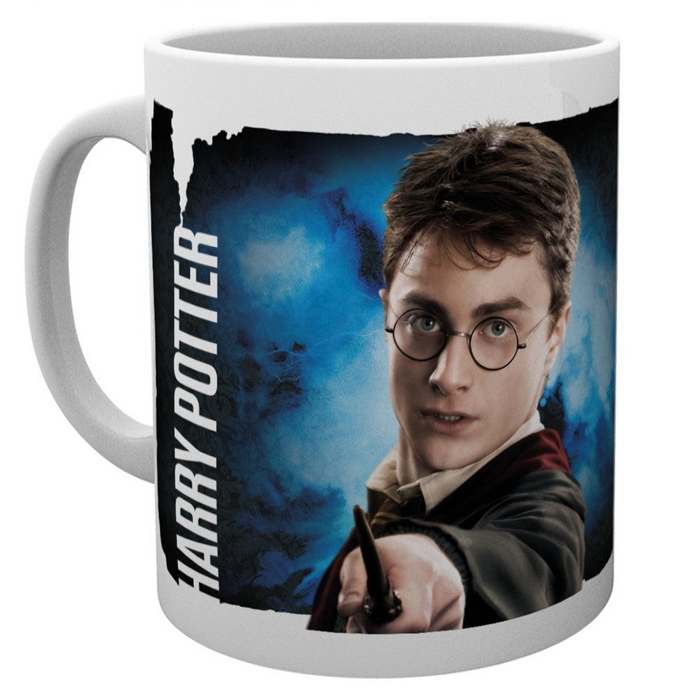 HARRY POTTER - (2027年 ドラマ放送決定 ) - Dynamic Harry