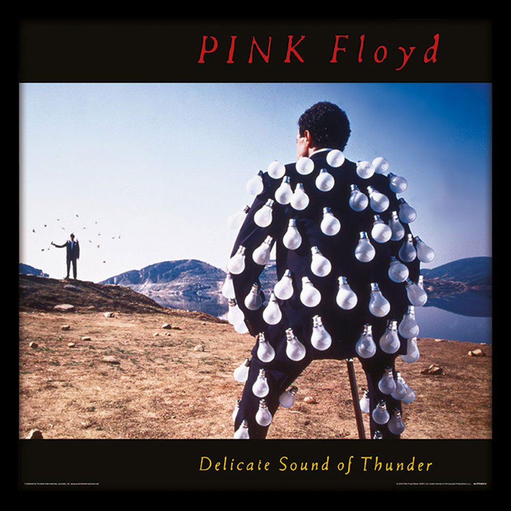 PINK FLOYD - (結成 60周年 ) - Delicate Sound of Thunder(アルバム・シリーズ額)
