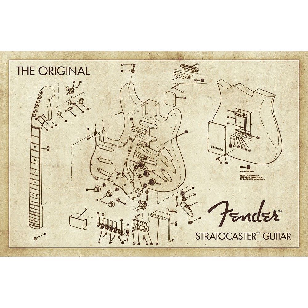 FENDER - (設立 80周年 ) - Diagram