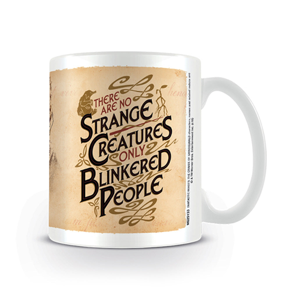 FANTASTIC BEASTS - (2027年 ドラマ放送決定 ) - Strange Creatures