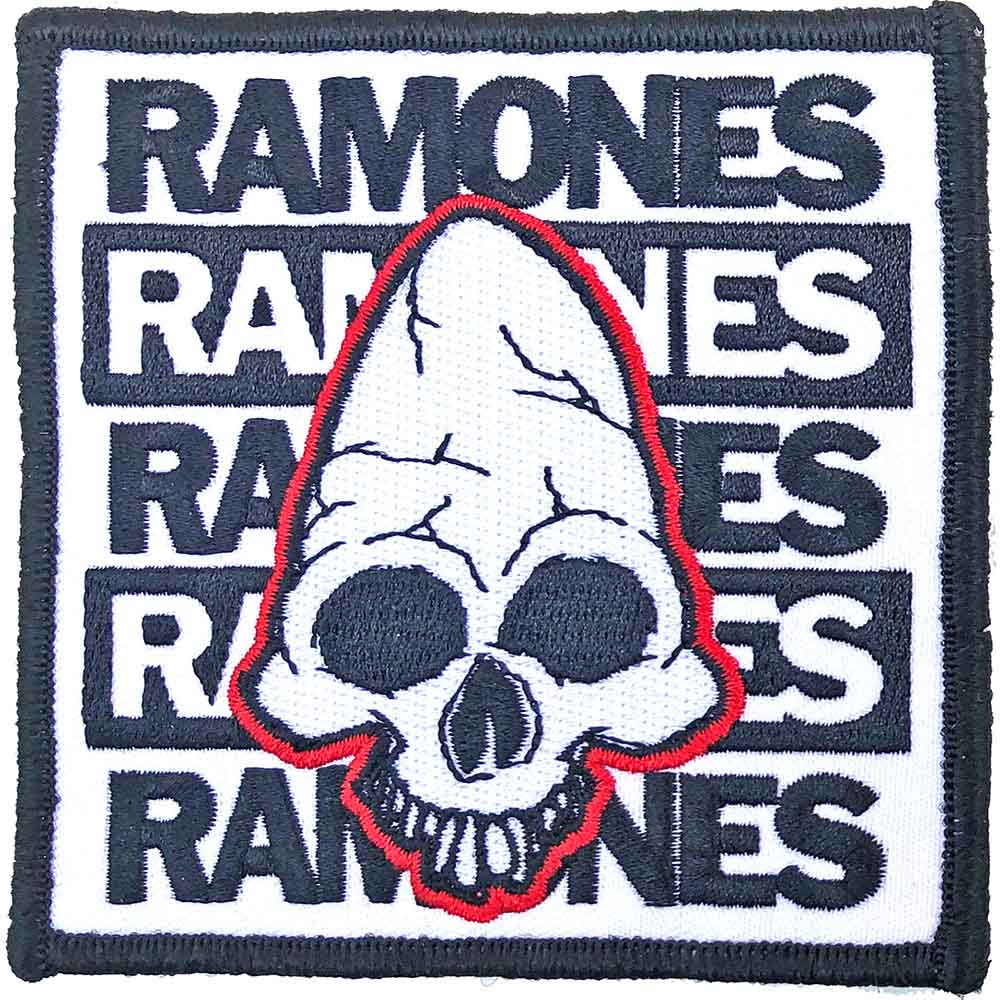 RAMONES - (来日 45周年 ) - Pinhead