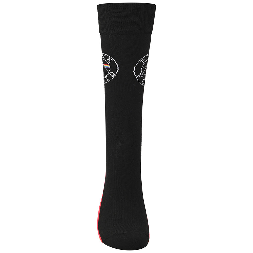 
                  
                    PINK FLOYD ピンクフロイド - Spectrum Sole / ソックス / メンズ
                  
                