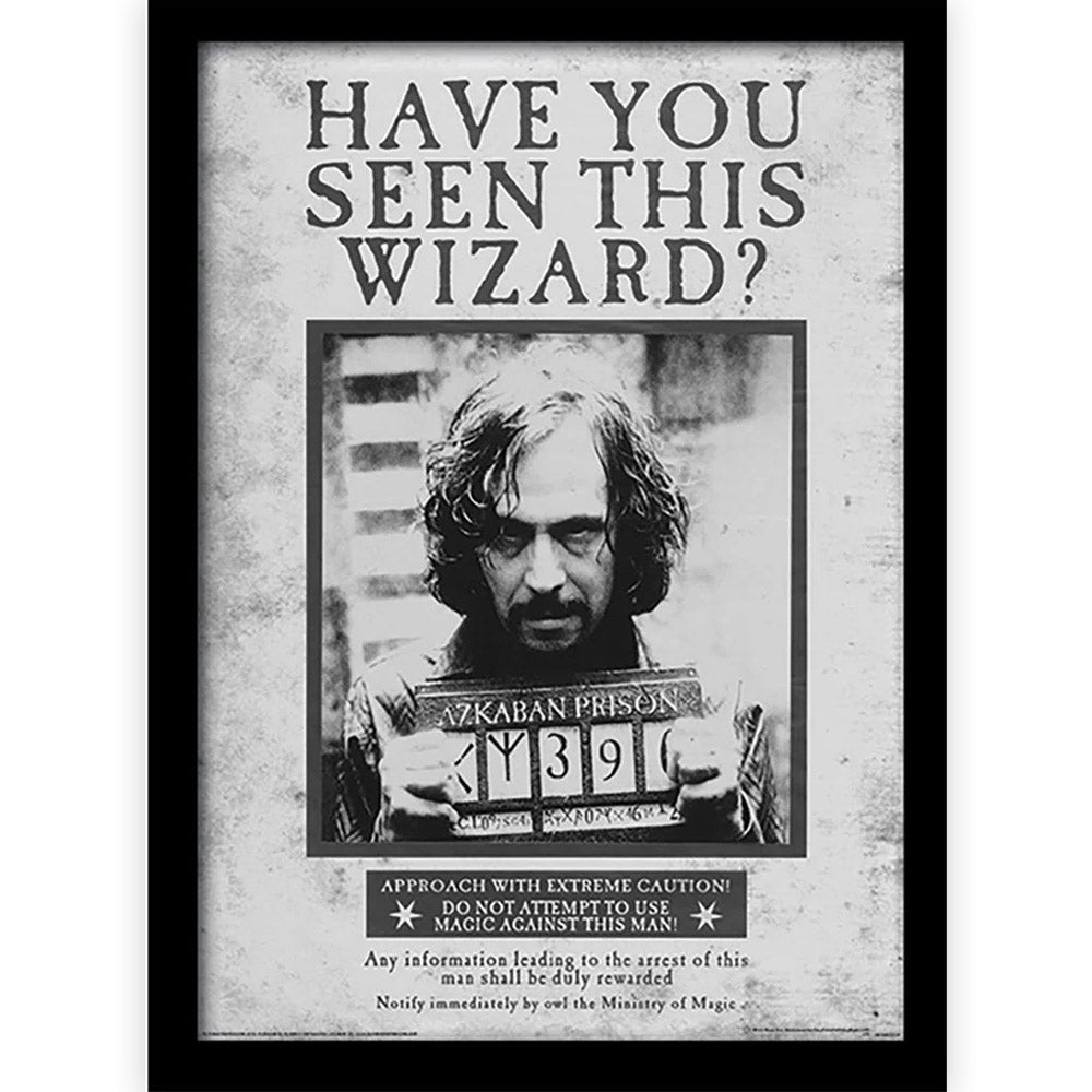 HARRY POTTER - (2027年 ドラマ放送決定 ) - Sirius Wanted