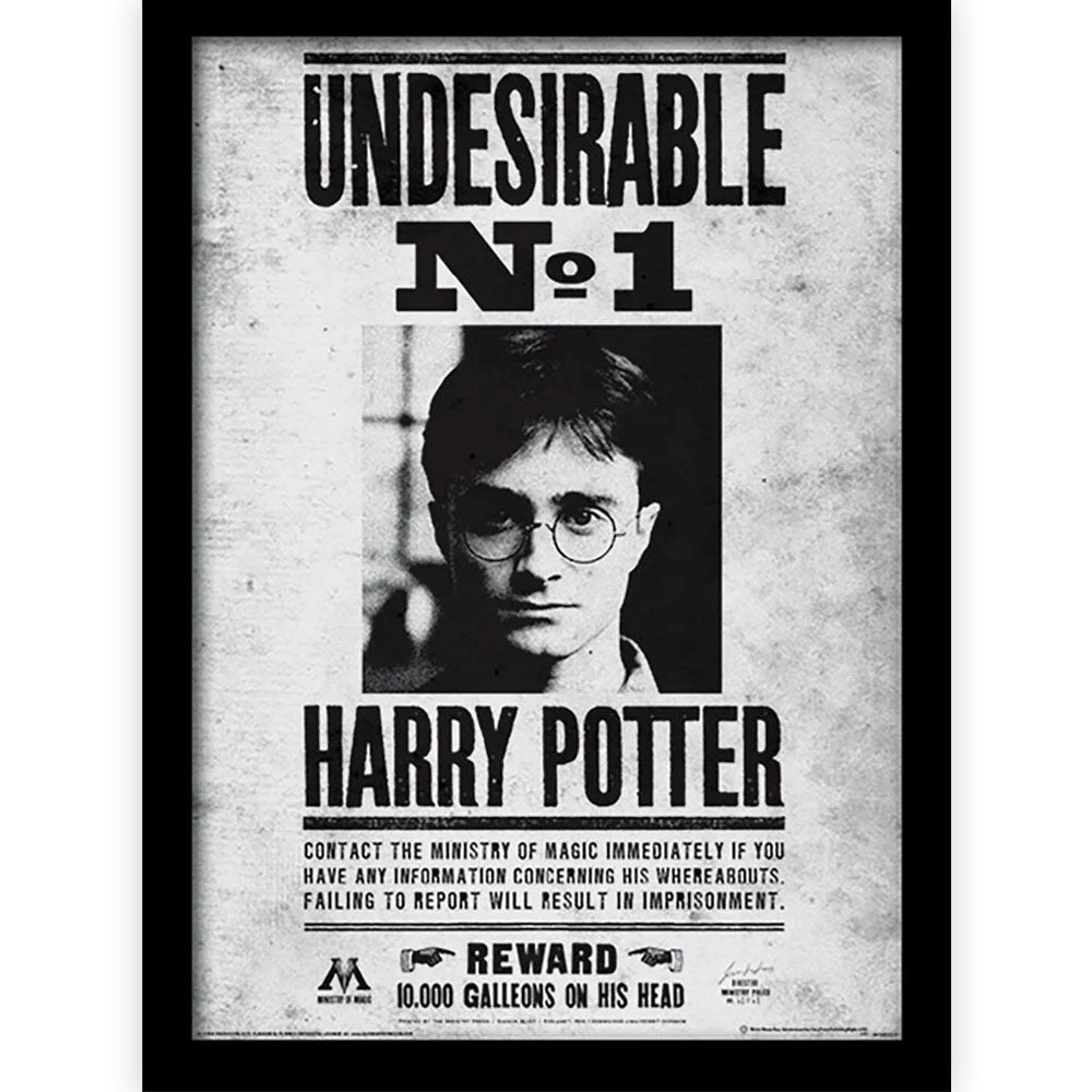 HARRY POTTER - (2027年 ドラマ放送決定 ) - Undesirable No1