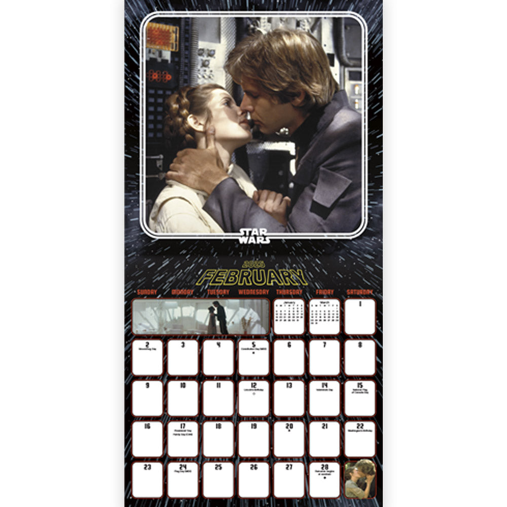 
                  
                    STAR WARS スターウォーズ - Saga CALENDAR 2025 / カレンダー・ダイアリー
                  
                