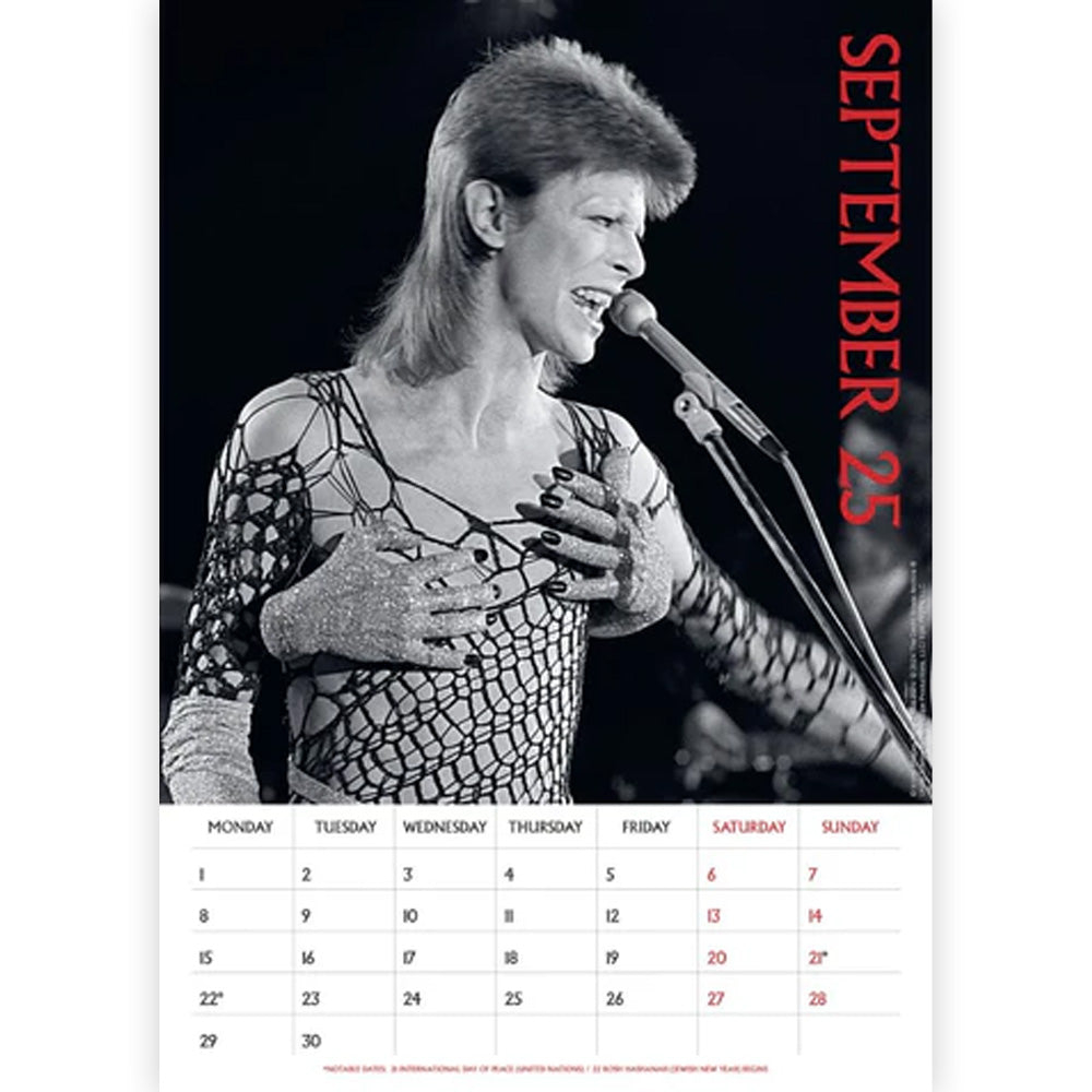 
                  
                    DAVID BOWIE デヴィッドボウイ - 2025 A3 CALENDAR / カレンダー・ダイアリー
                  
                