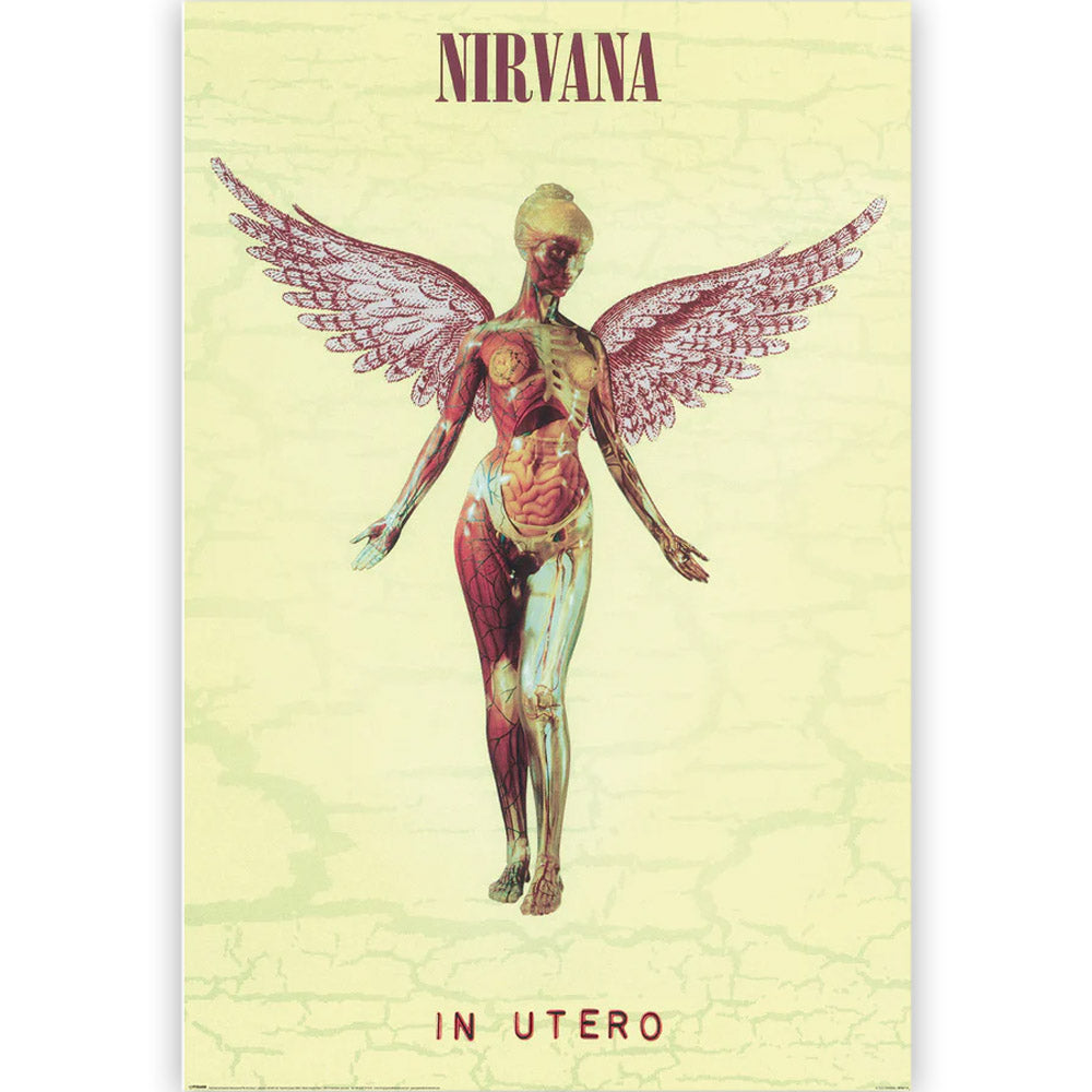 
                  
                    NIRVANA - In Utero
                  
                