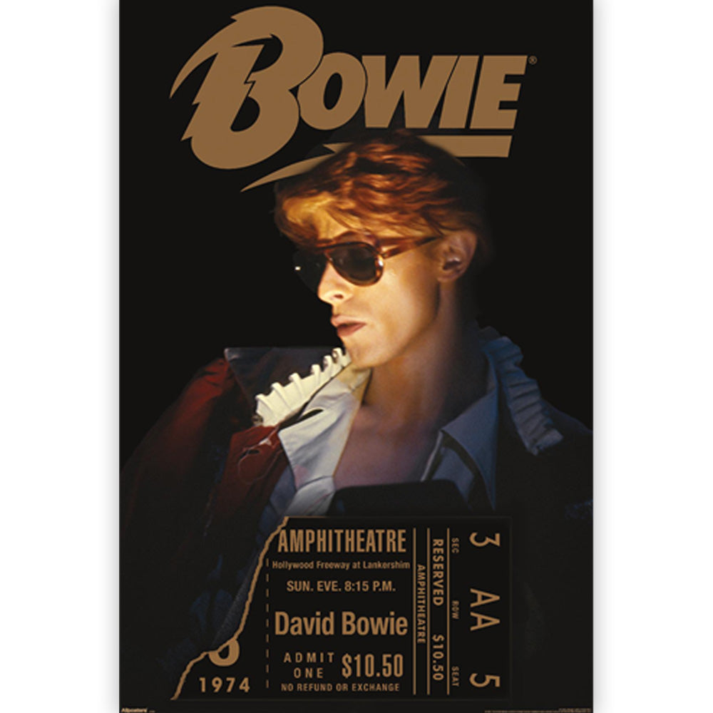 DAVID BOWIE - Diamond Dogs LA Tour 1974
