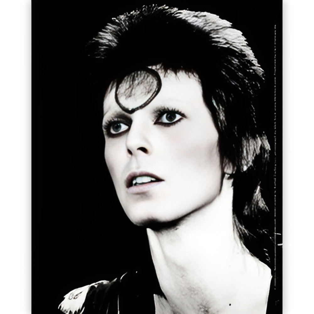 DAVID BOWIE - Black & White