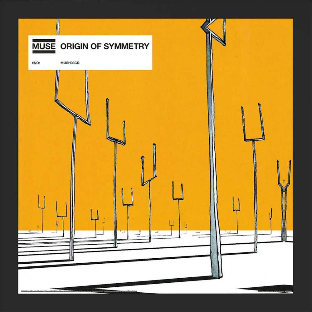 MUSE - Origin Of Symmetry (アルバム・シリーズ額)