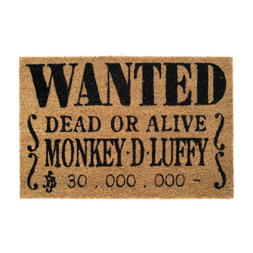 ONE PIECE - Wanted Poster