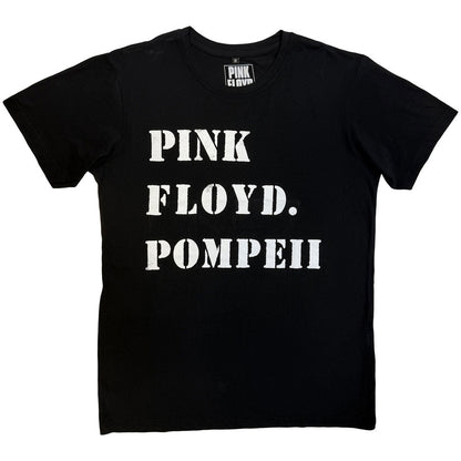 PINK FLOYD - Pompeii Stencil / カーボンソフト加工