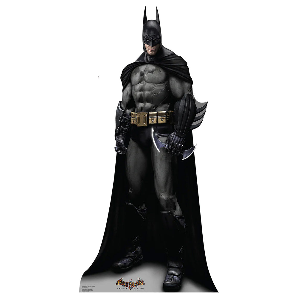 
                  
                    BATMAN - Arkham Asylum
                  
                