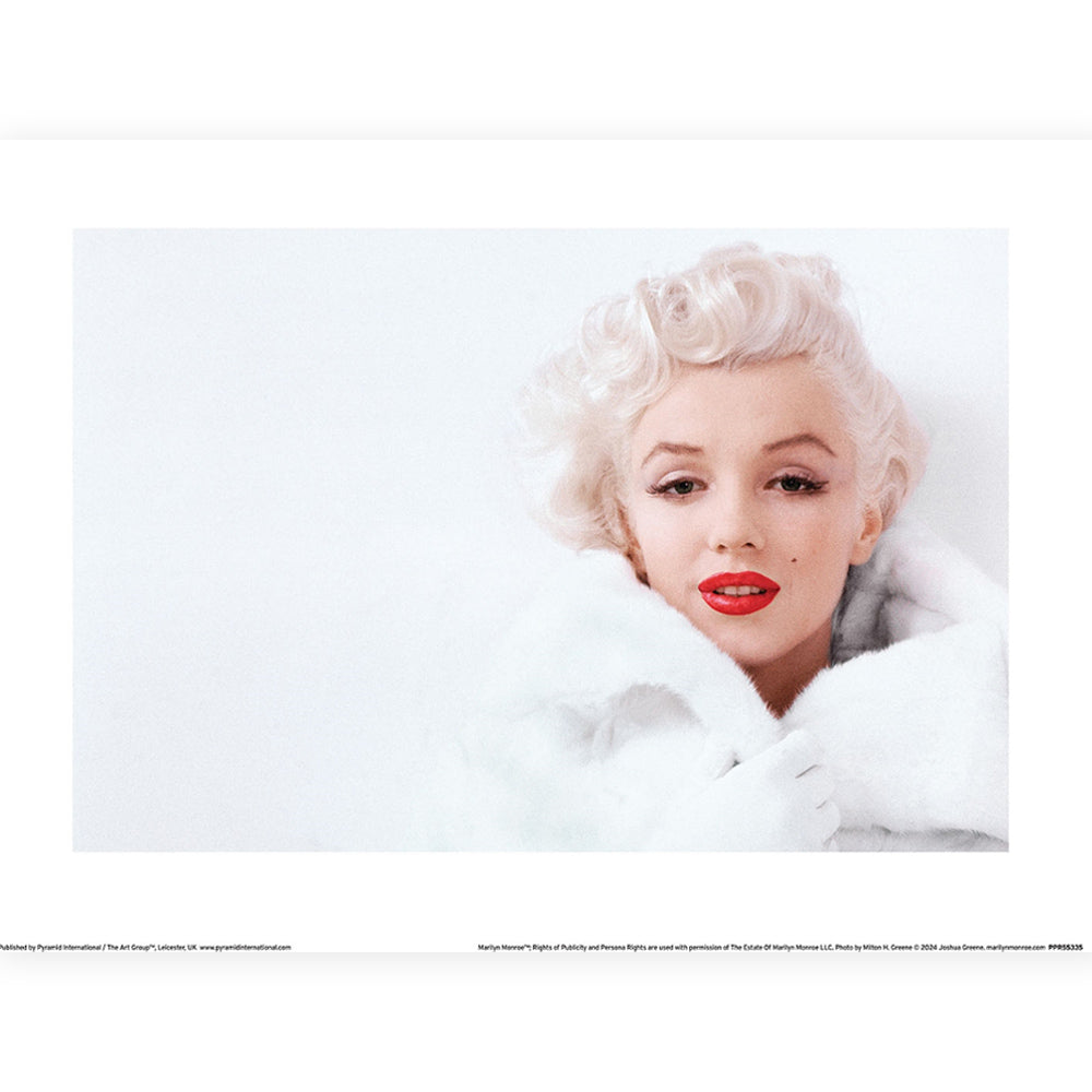 MARILYN MONROE - (生誕100周年 ) - White Coat