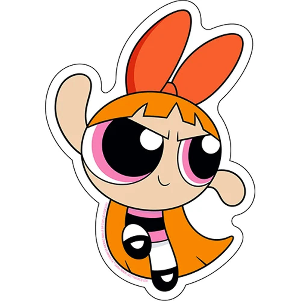
                  
                    THE POWERPUFF GIRLS - Blossom
                  
                